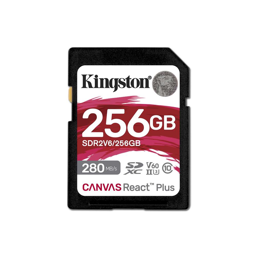 Kingston SDR2V6/256GB 256GB SD Hafıza Kartı (SD,MINI SD)(HAFIZA) BELLEK