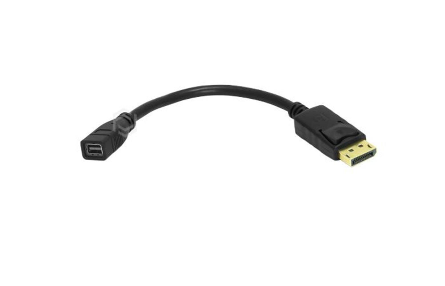 Frisby FA-6654C Display Port - Mini Display Port D DÖNÜŞTÜRÜCÜ ADAPTÖR